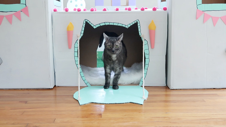 Cat on drawbridge
