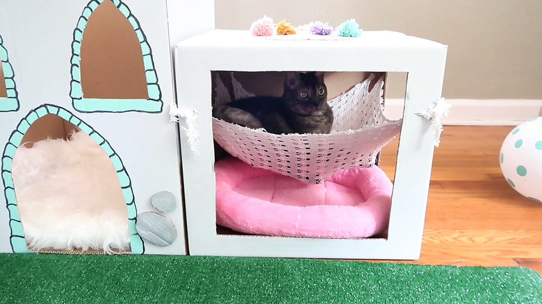 Cat laying in hammock
