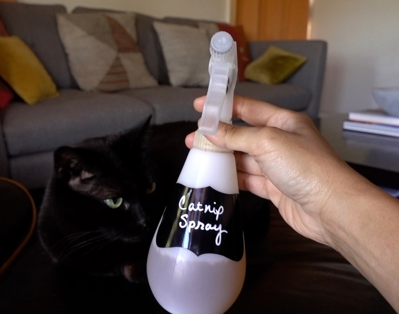 DIY catnip spray