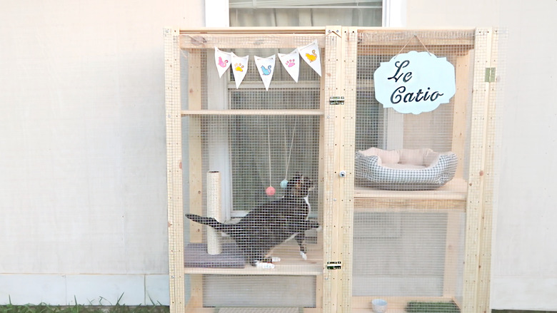 Cat jumping from one shelf to another inside catio