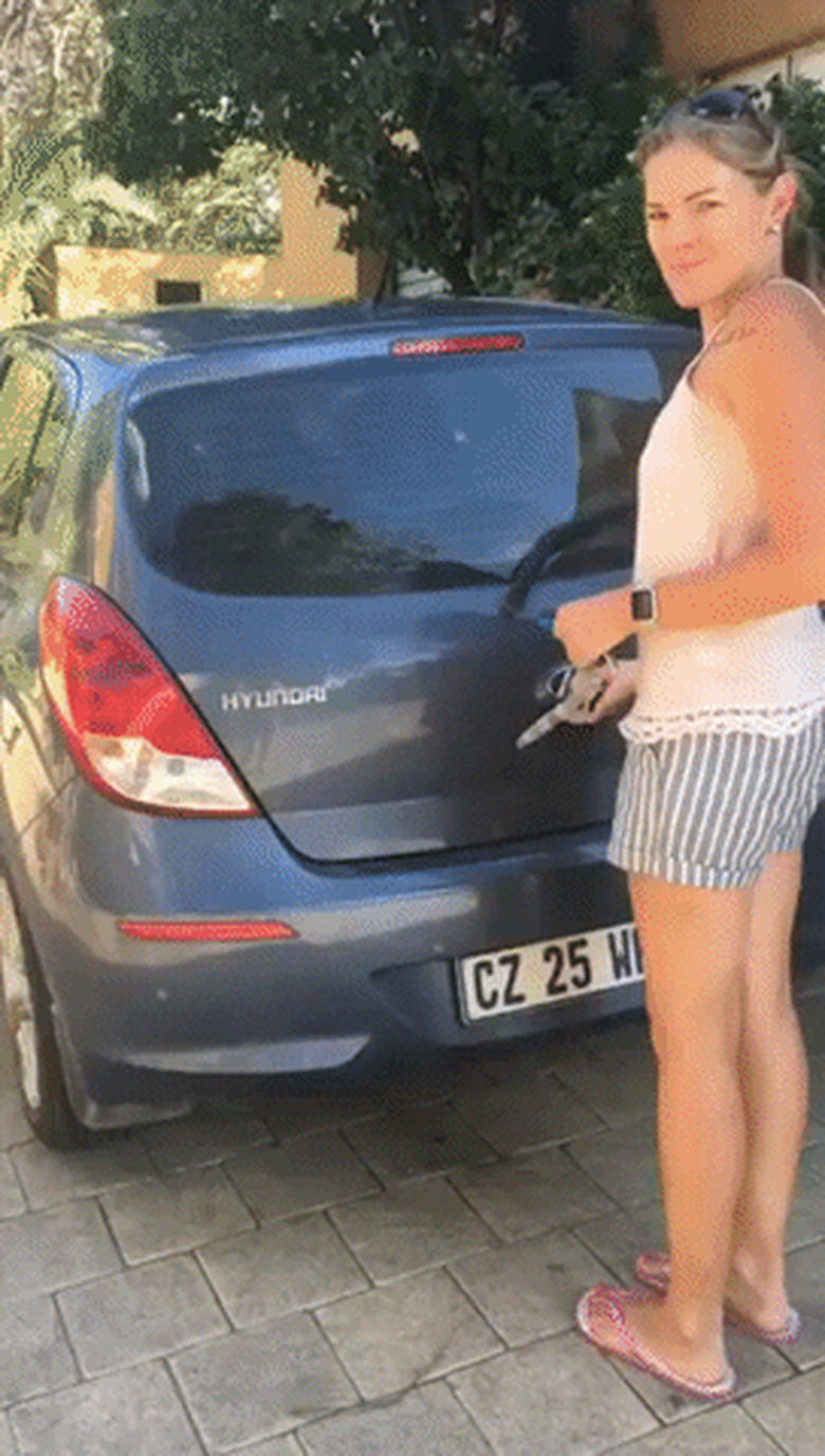 puppies spilling out of parked car