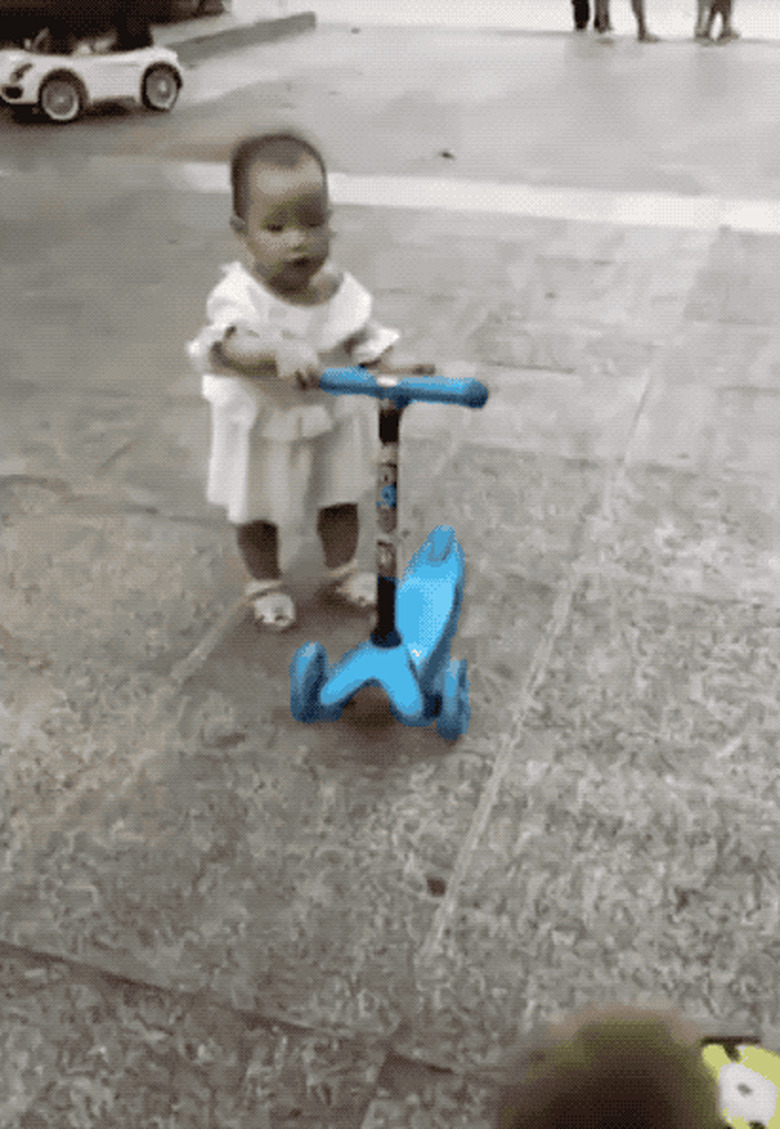dog steals scooter from baby
