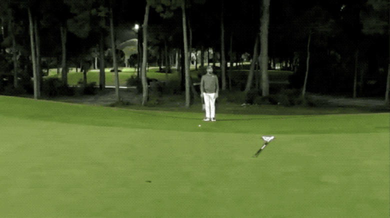 fox steals golfer's club cover