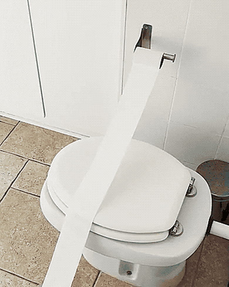 dog leaves trail of toilet paper through house