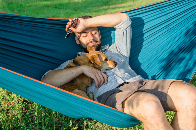 Young attractive European man is dozing in hammock with his cute little dog. Sunny weekend in summer park.