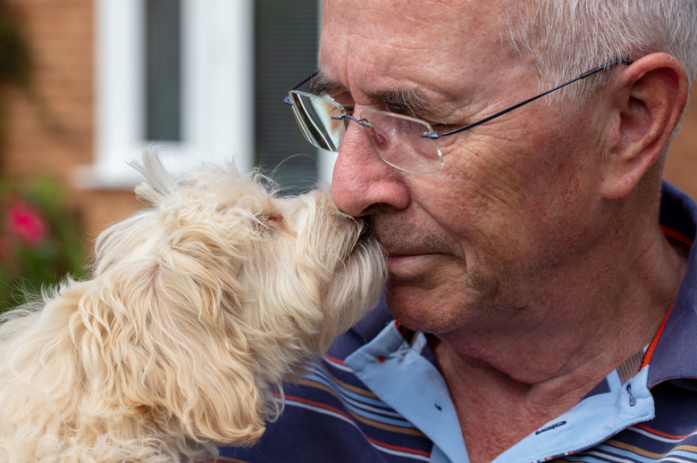 Puppy Love