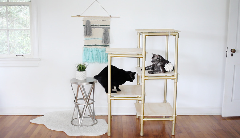 Two cats on cat tree