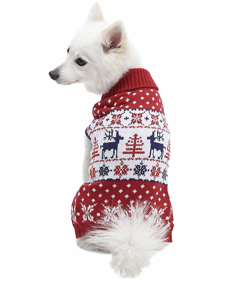 Dog wearing red sweater with an off-white scene of reindeer