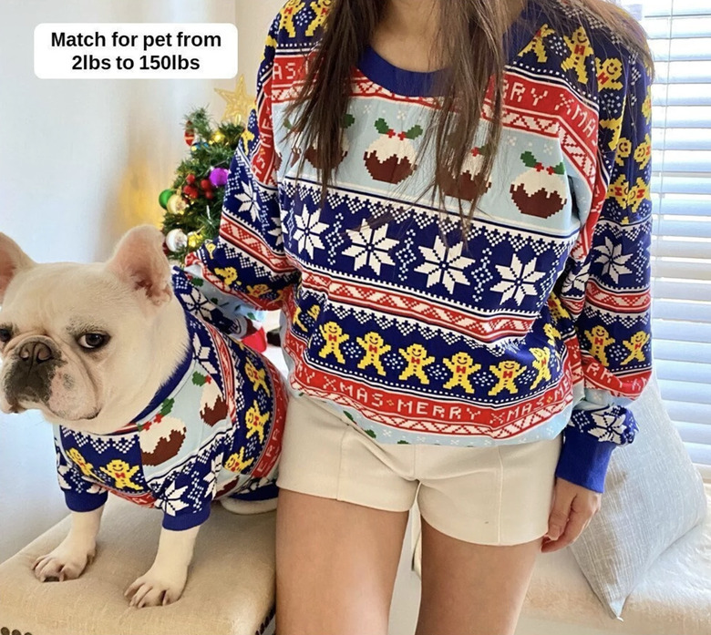 Woman and French bulldog in matching ugly Christmas sweaters with stars
