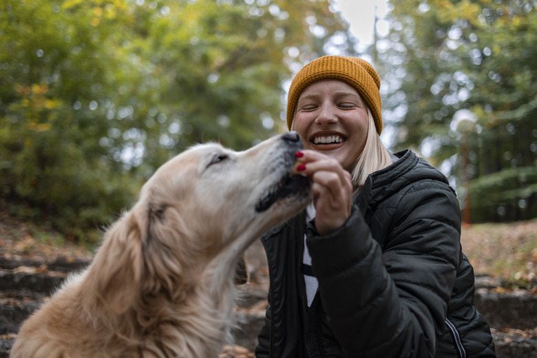 Dog treat