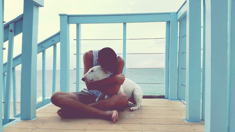 Man Embracing Dog On Pier