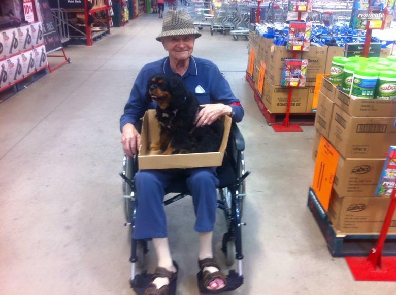 People are sharing pictures of dogs in shopping carts and we're soooo here for it