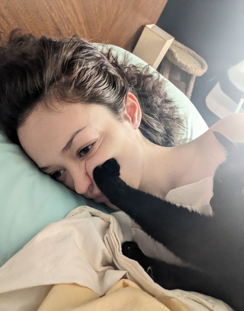 black cat paws pregnant woman in face.