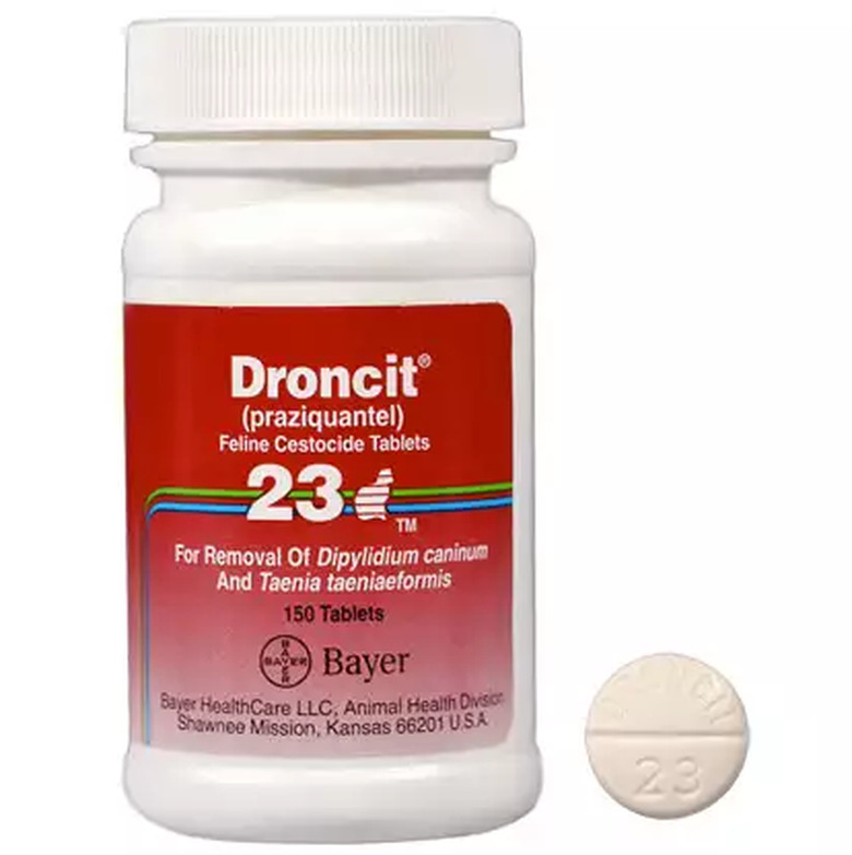 droncit
