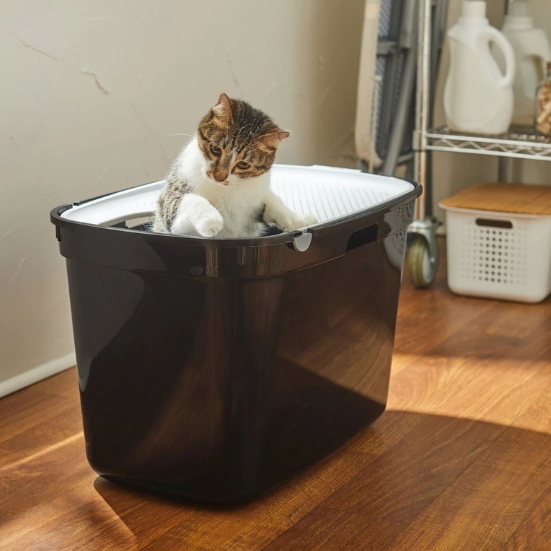 Frisco Top Entry Cat Litter Box, Large 23-in.