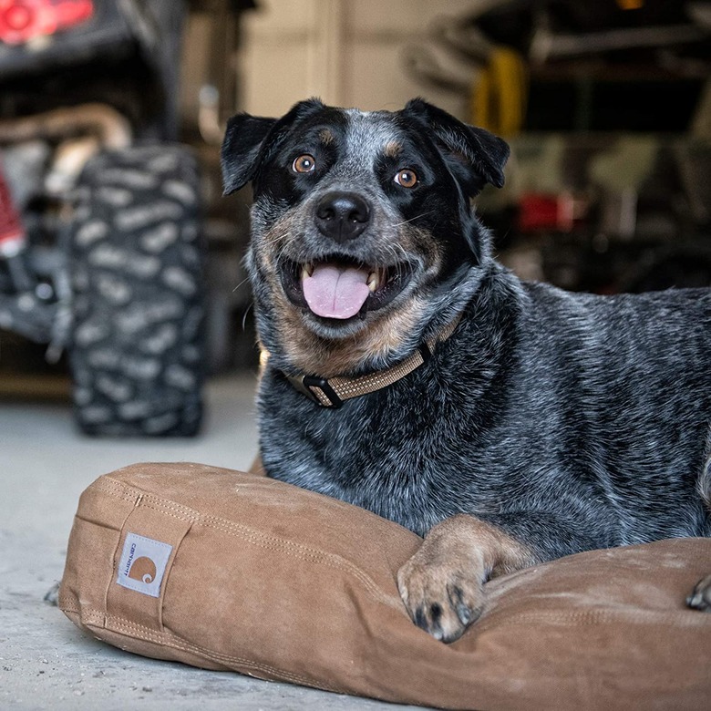 Carhartt Firm Duck Dog Bed