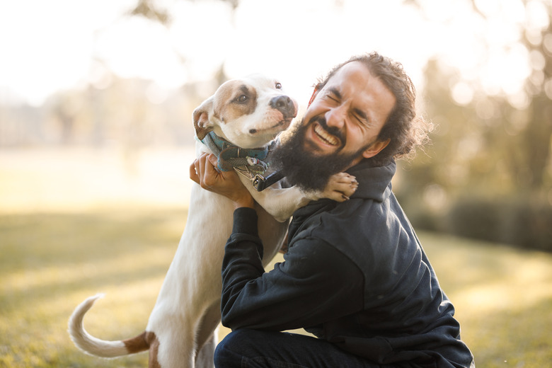 Happy man embracing a young pitbull