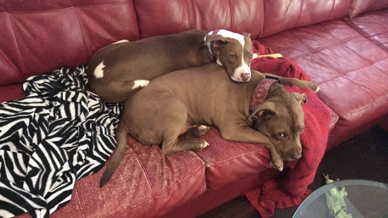 big and little friends grown up