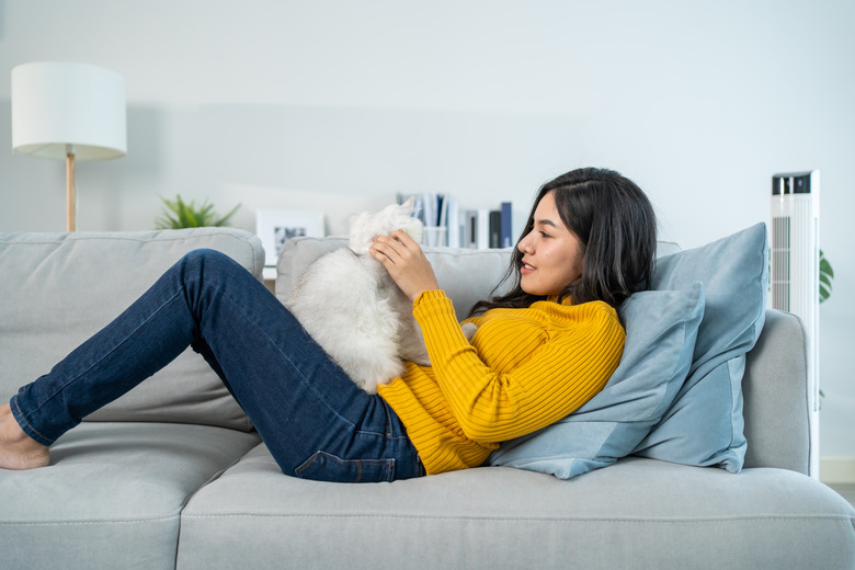 Asian woman holding and play with little cat with happiness at home. Attractive beautiful female sit on sofa