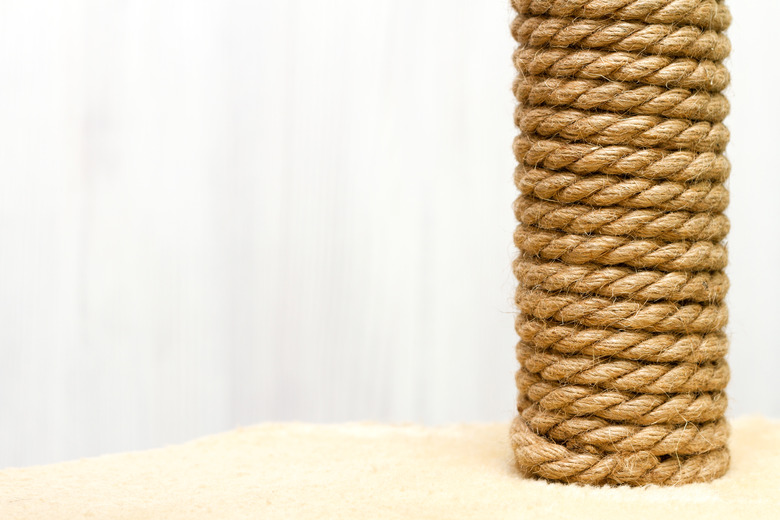 at tree and furniture