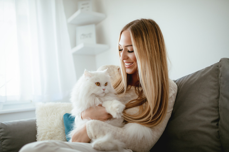 Woman holding fluffy white cat on a couch