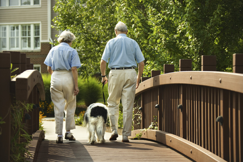 Couple walking dog on bridge