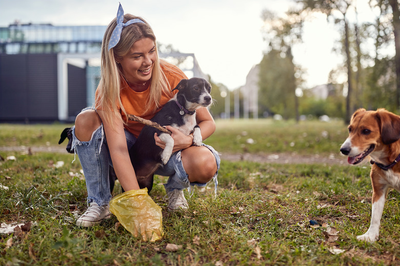 A young girl in the park is picking up the poop of her dogs. Friendship