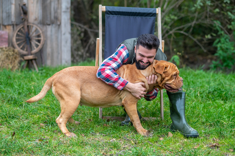 A dark-haired young man with a sharpei dog in the yard