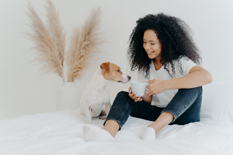 Horizontal shot of happy Afro American woman spends leisure time with dog