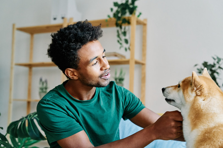 Young man talking to his dog in living room
