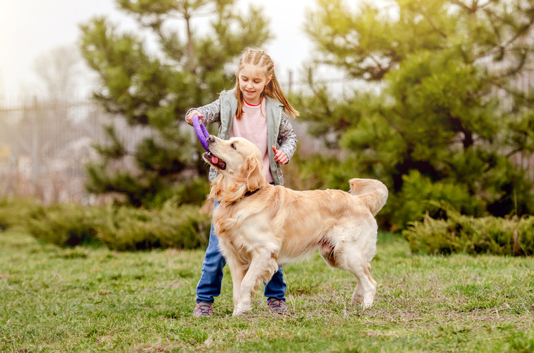 Little girl with golden retriever dog outside