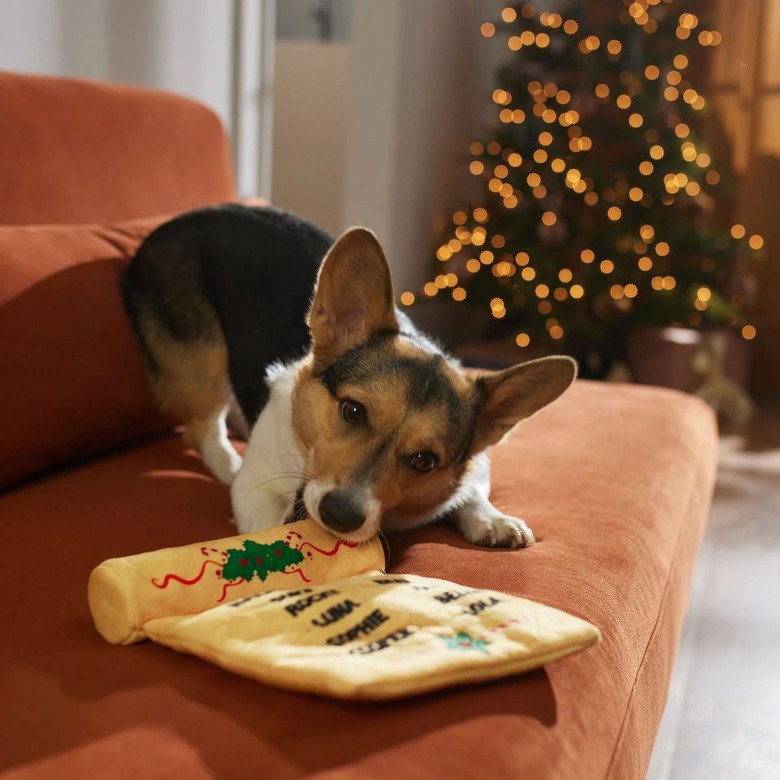 Santa's List holiday plush dog toy with Naughty and Nice categories.