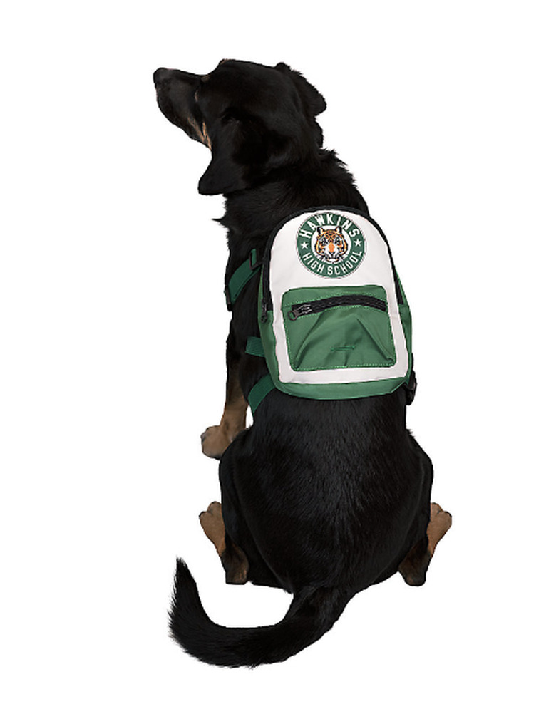 A large black dog wearing the Stranger Things backpack harness. The backpack portion has a patch at the top with the lion's face and Hawkins High School written in a circle around it.