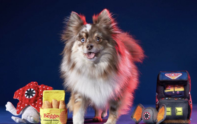 Pomeranian standing next to four different Stranger Things dog toys from Target. Dog is pictured against a navy blue and purple background with a red light shining on him or her.