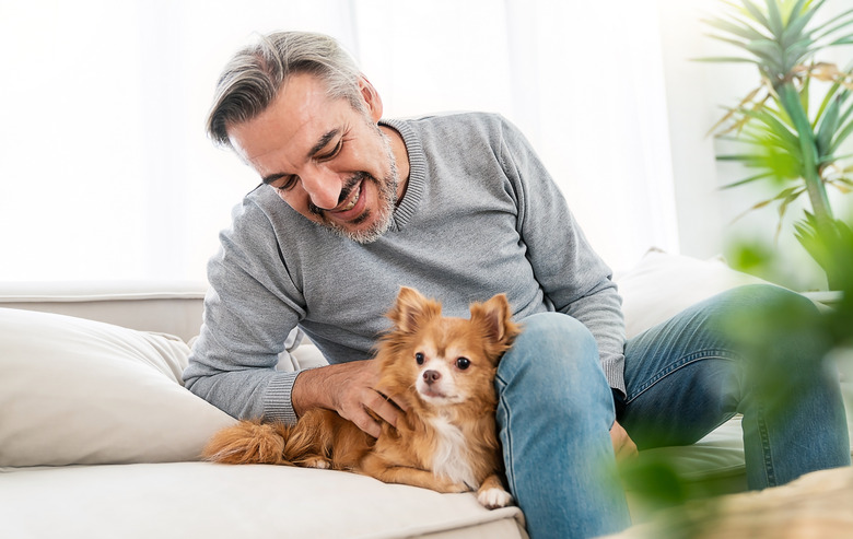 Portrait of senior old caucasian man stay home sit on the sofa living room with lovely dog. Happy moment of pure love middle age male playing with little dog in winter