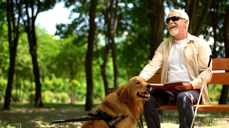 Cheerful blind man holding braille book and petting assistance dog