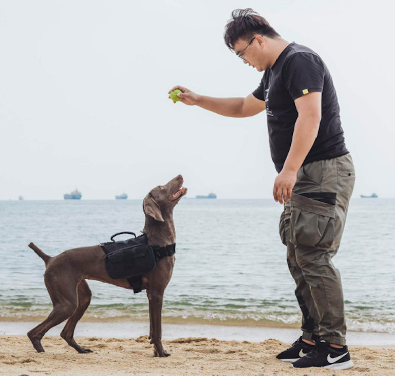 OneTigris Dog Pack Hound Travel Camping Hiking Backpack Saddle Bag Rucksack for Medium & Large Dogs