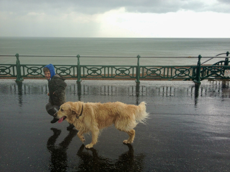 Boy walking along prom with dog