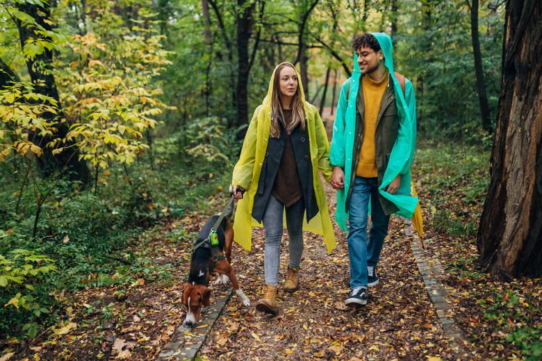 Man and a woman walking through the woods. The smells of the forest have a strong influence on our health and emotions. They are happy
