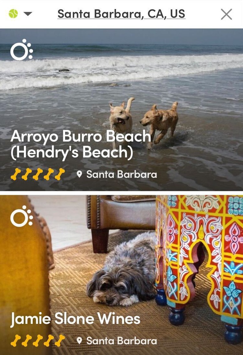 Screenshot of the app BringFido with two searches for pet-friendly locations in Santa Barbara