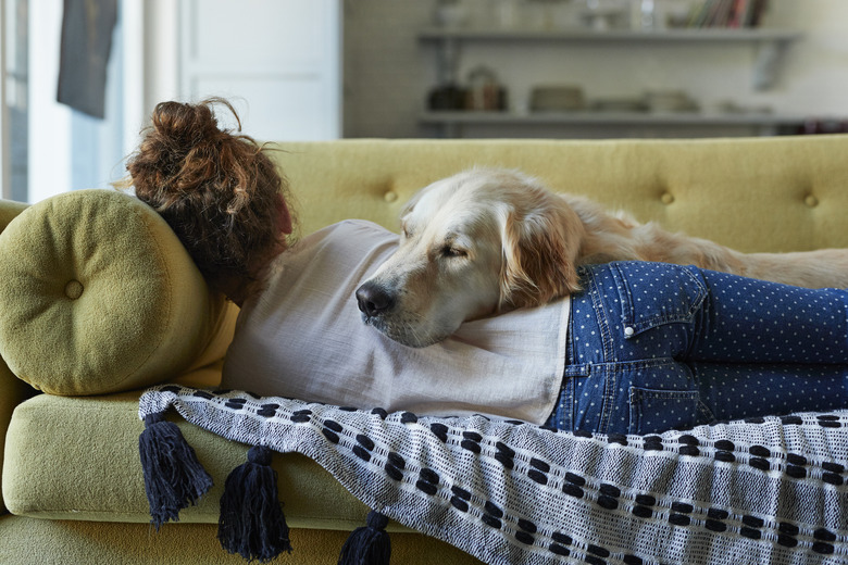 Girl sleeping on couch with her Golden Retriever dog