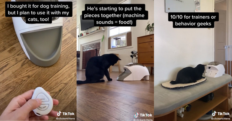 Stills from a TikTok video review oof the PetSafe Treat & Train.