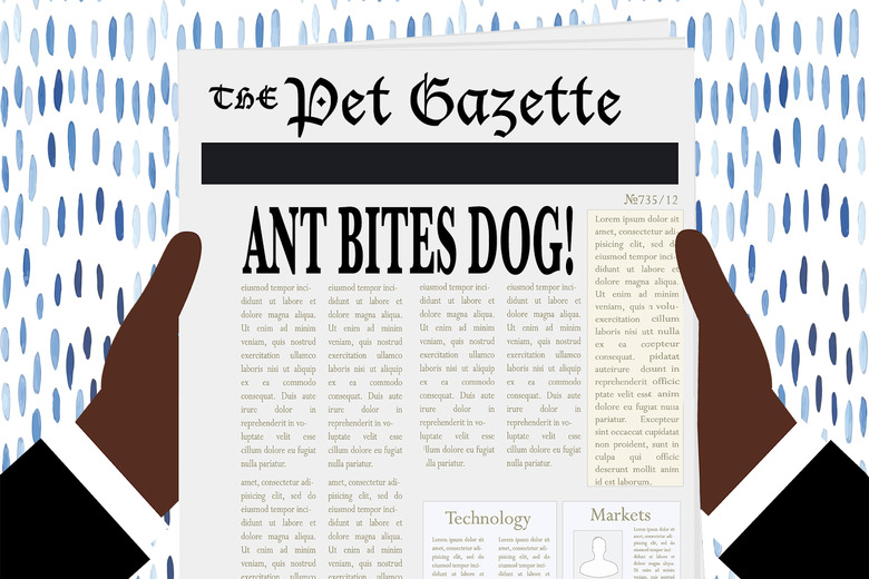 Illustration of a newspaper with the headline Ant Bites Dog!