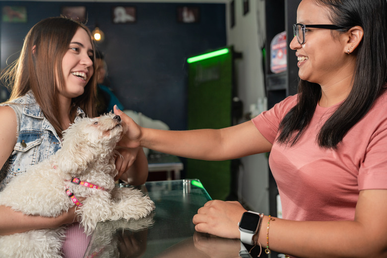receptionist at a dog salon petting a client's dog