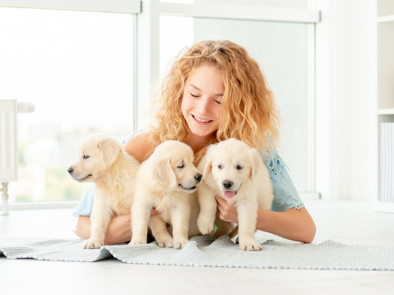School girl hugging puppies