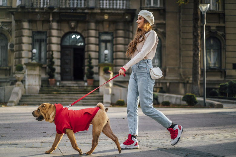 Woman walking her dog in the city