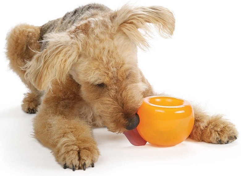 Dog playing with an orange treat-dispensing ball One side of the ball is inverted and has a little hole at the center