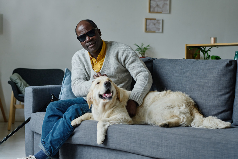 Blind man with his guide dog sitting on a couch.