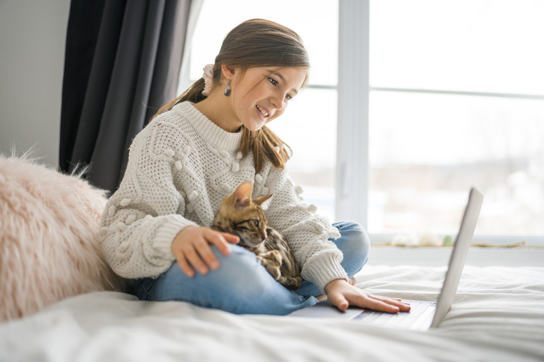 bengal cat with Child on computers sit bed at home