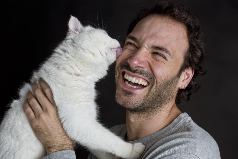 Cat licking man's face